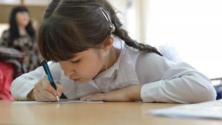 Школьники Ставрополья могут перейти на домашнее обучение онлайн из-за коронавируса